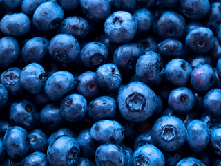Fresh blueberry with drops of water, natural blue background. Top view. Freshly picked berries bog whortleberry. Concept of botany and medicine, cooking