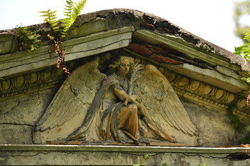 Monumente
