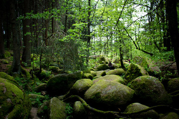 rocks and river