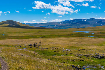 Hochmoor im Altai Tavan Bogd Gebirge Mongolei