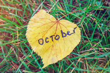 Yellow leaf with inscription OCTOBER. yellow leaf against background of green grass. symbol of October is autumn.