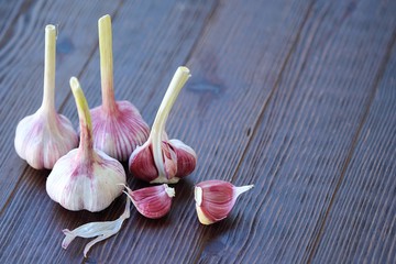 Fresh garlic from the garden on wooden background  