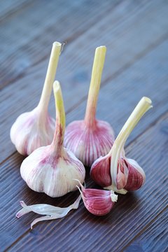 Fresh garlic from the garden on wooden background  