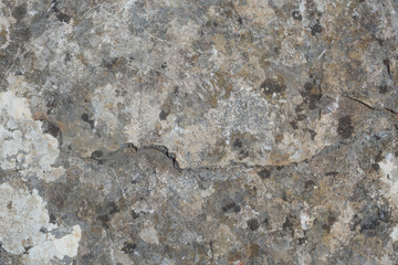 Grey lime stone rock background texture