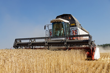 Combine harvests wheat on a field in sunny summer day