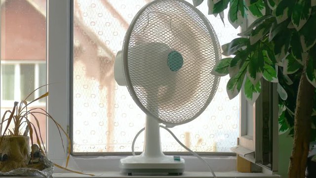 Domestic fan on window-sill in room / Domestic fan on window-sill in room in hot days