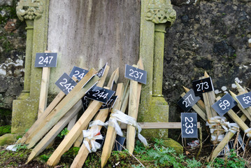 Wooden stakes with numbered signs to identify graves in a graveyard.
