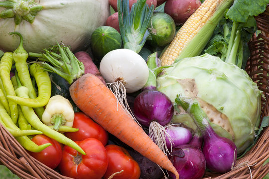 Lots of vegetables in a basket