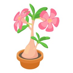 Exotic cactus icon, cartoon style