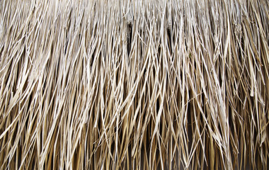 Big part of straw roof at the house. Its can be used as texure. 