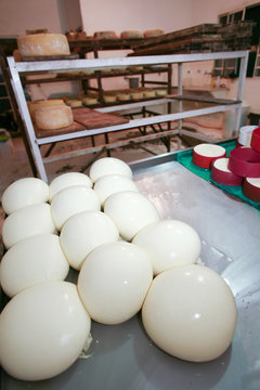 Cheesemaker Fat รูปภาพCheese-Maker – เลือกดูภาพถ่ายสต็อก เวกเตอร์ และวิดีโอ1,021 ...