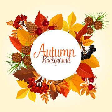 Autumn vector poster of leaf fall and forest berry