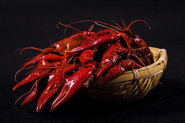Crawfish, white background, close-up
