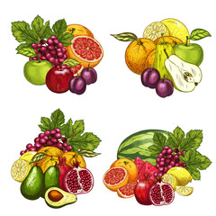 Vector sketch icons of exotic garden fruits bunch