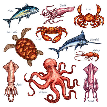 Vector icons of seafood or fish food fishing catch