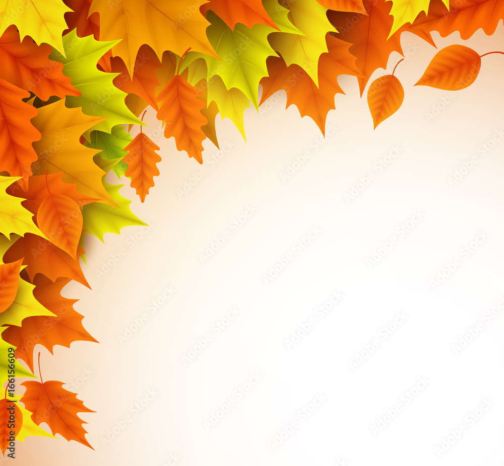 Poster autumn vector background template. fall season maple leaves elements with empty blank white space fo