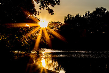 Evening Sunset Starburst:  Large golden starburst from an evening sunset in Montgomery, Alabama.
