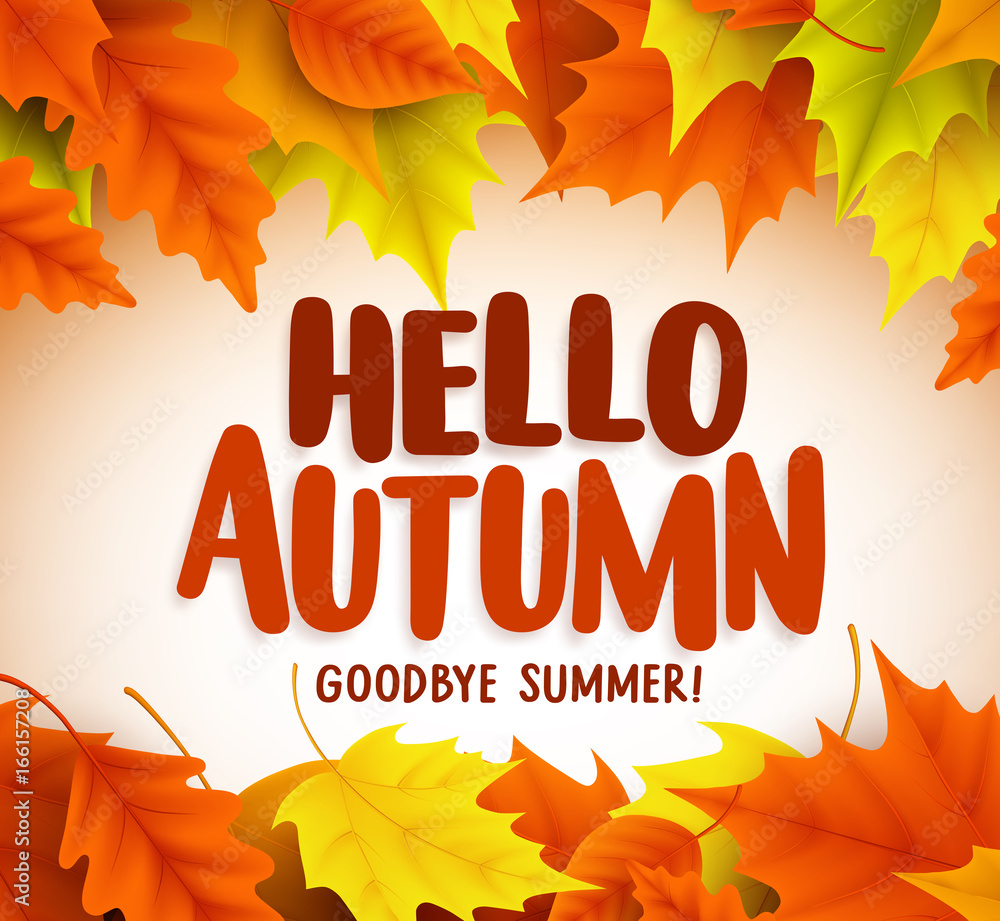 Poster hello autumn text greetings in vector banner design with colorful maple leaves in white background f