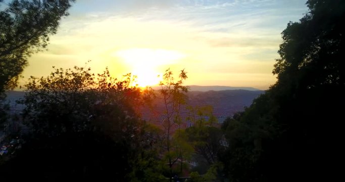 Flying through the branches of trees to a meeting the sunset over the city