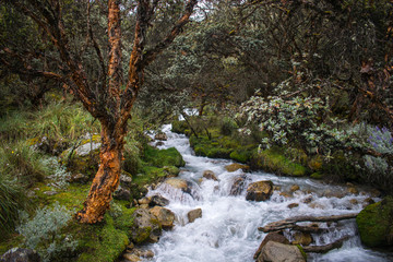 Paisaje - Huaraz | Peru