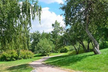 Fototapeta na wymiar Москва, тропинка в ландшафтном парке 