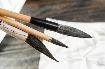 Fototapeta premium closeup writing brush