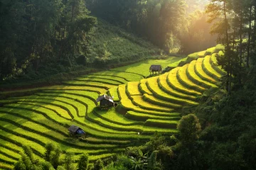 Crédence de cuisine en verre imprimé Mu Cang Chai Vietnam beau paysage vue sur la terrasse de riz à l& 39 état sauvage
