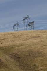 Pylons in a golden field. Pylons on the hill.