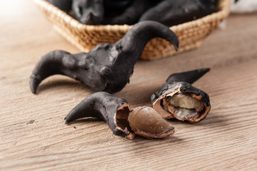 closeup water caltrop
