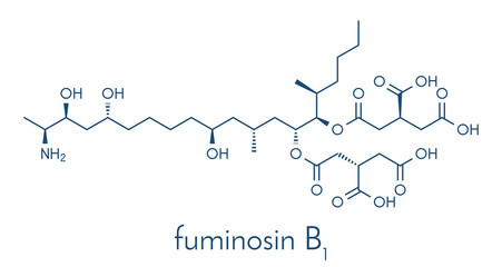 Fumonisin B1 mycotoxin molecule. Fungal toxin produced by some Fusarium molds, often present in corn and other cereals. Skeletal formula.