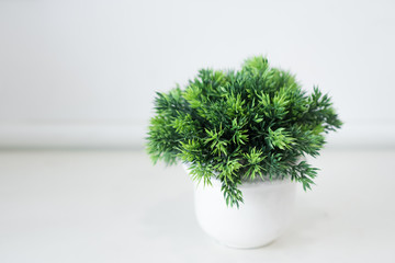 Selective focus on Small Artificial Plant in a pot decorate object