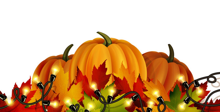 The vector illustration of pumpkins isolated