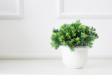 Selective focus on Small Artificial Plant in a pot decorate object