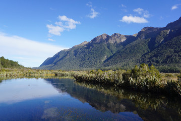 Fototapeta na wymiar Beautiful reflection of the landscape of the meadow in mirror lake Queenstown in New Zealand