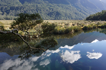 Beautiful reflection of the landscape of the meadow in mirror lake Queenstown in New Zealand