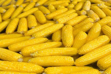 corn boil vegetarian food