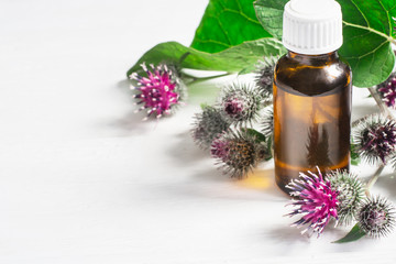 Fototapeta na wymiar Agrimony burdock Essential oil In small bottle. Flowers spikes and leaves
