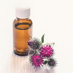 Obraz na płótnie Canvas Spines flowers burdock and Essential oil In small bottle