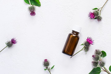flat lay  burdock  Essential oil In small bottle. Spikes of flowers and leaves on a white background
