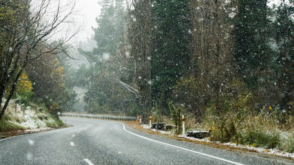 Snow falling on road