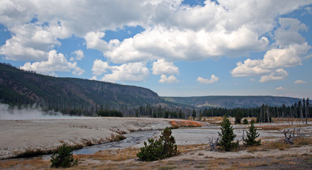 Iron Spring Creek flowing past Cliff Geyser in Black Sand Geyser Basin in Yellowstone National Park...
