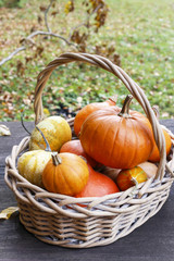 Basket with pumpkins.