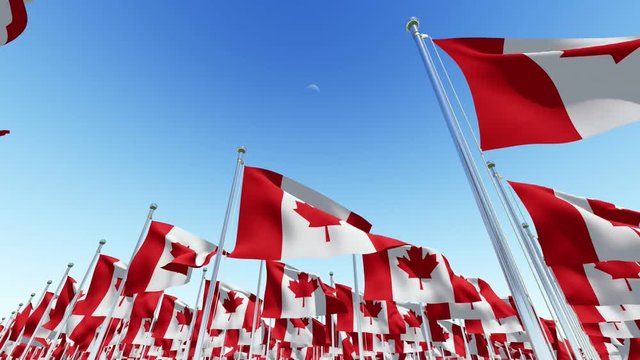 Flags of Canada on flag poles waving in the wind against blue sky. Three-dimensional rendering 3D animation.