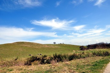 Obraz premium Unterwegs auf Hiddensee