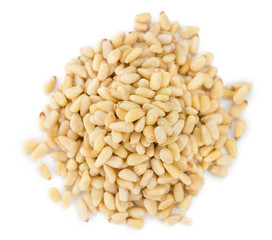 Pine Nuts isolated on white