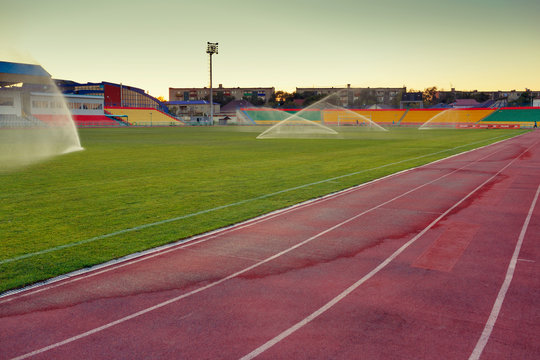 Green grass in a sports stadium in the summer at sunset watered with water