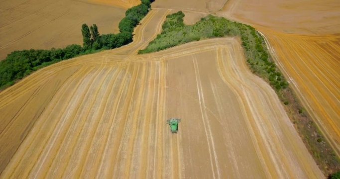 Cosechando en campo de trigo, vista aérea