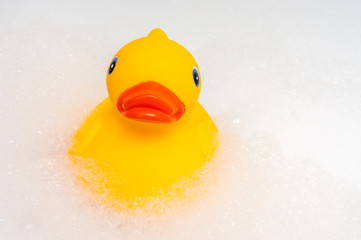 Rubber duck and foam in bathtub