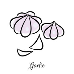 Garlic hand drawn doodle vector icon.