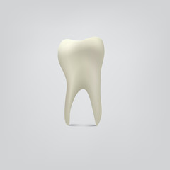 Vector tooth isolated on gray background.